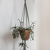 Plant Hanger Minimalist