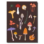 Notebook - Mushrooms