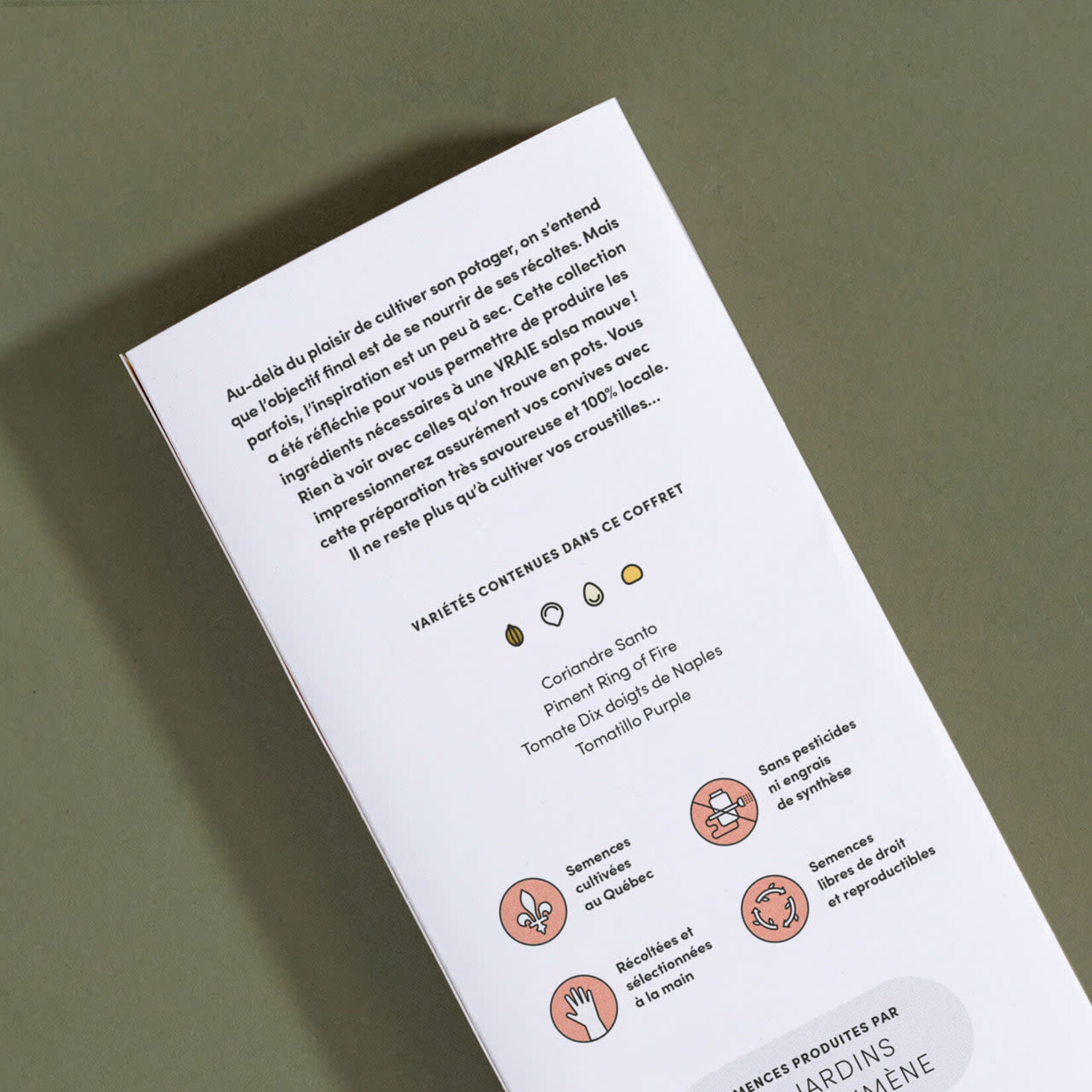Seed Box – Salsa Collection
