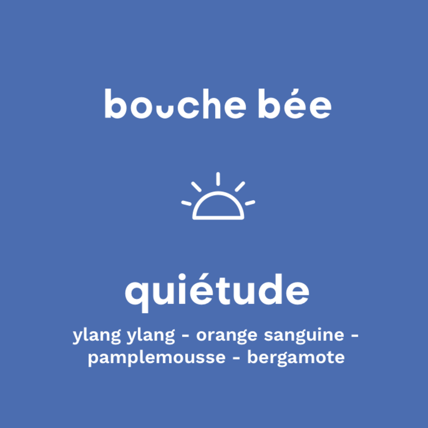 Mélange pour diffuseur