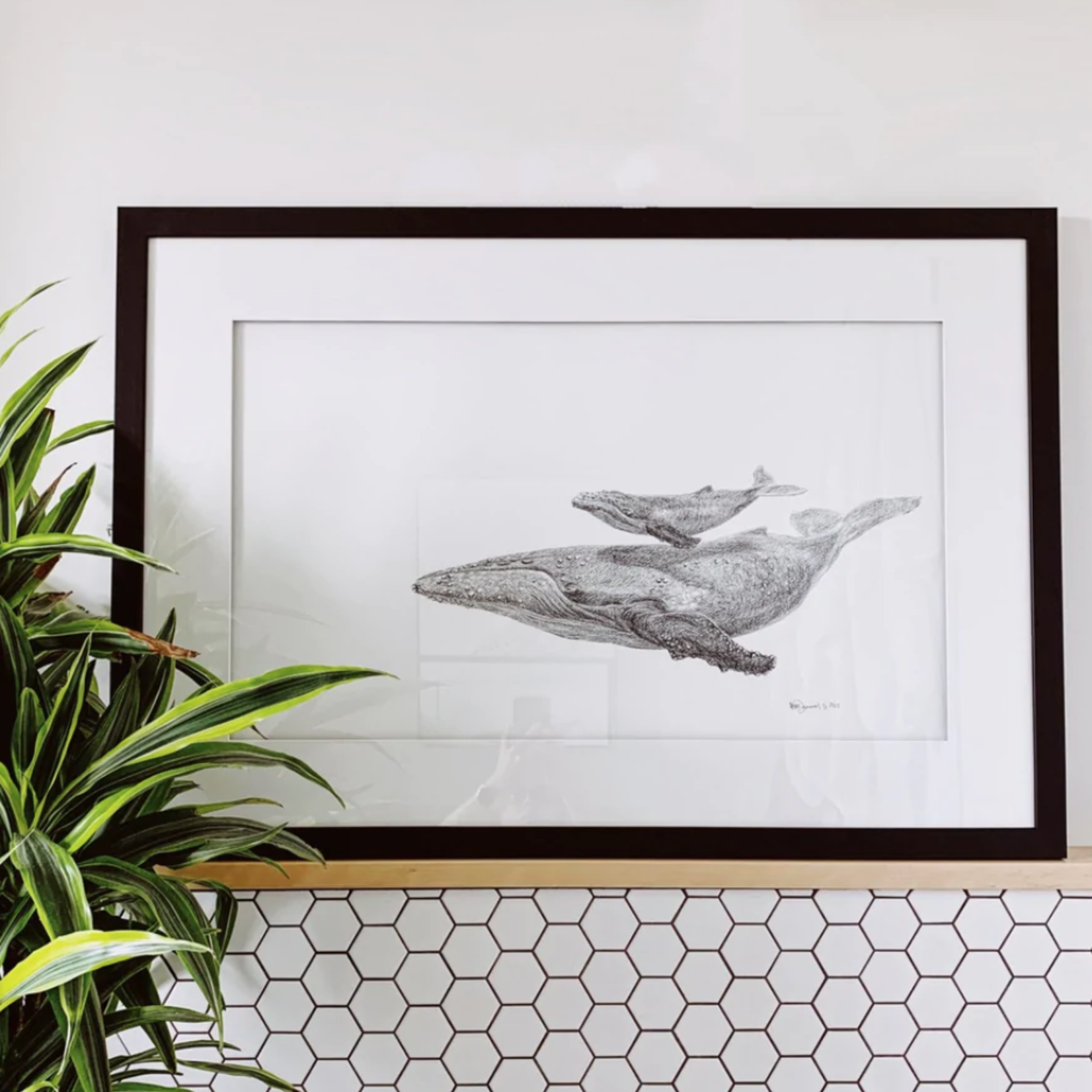 Affiche Maman Baleine