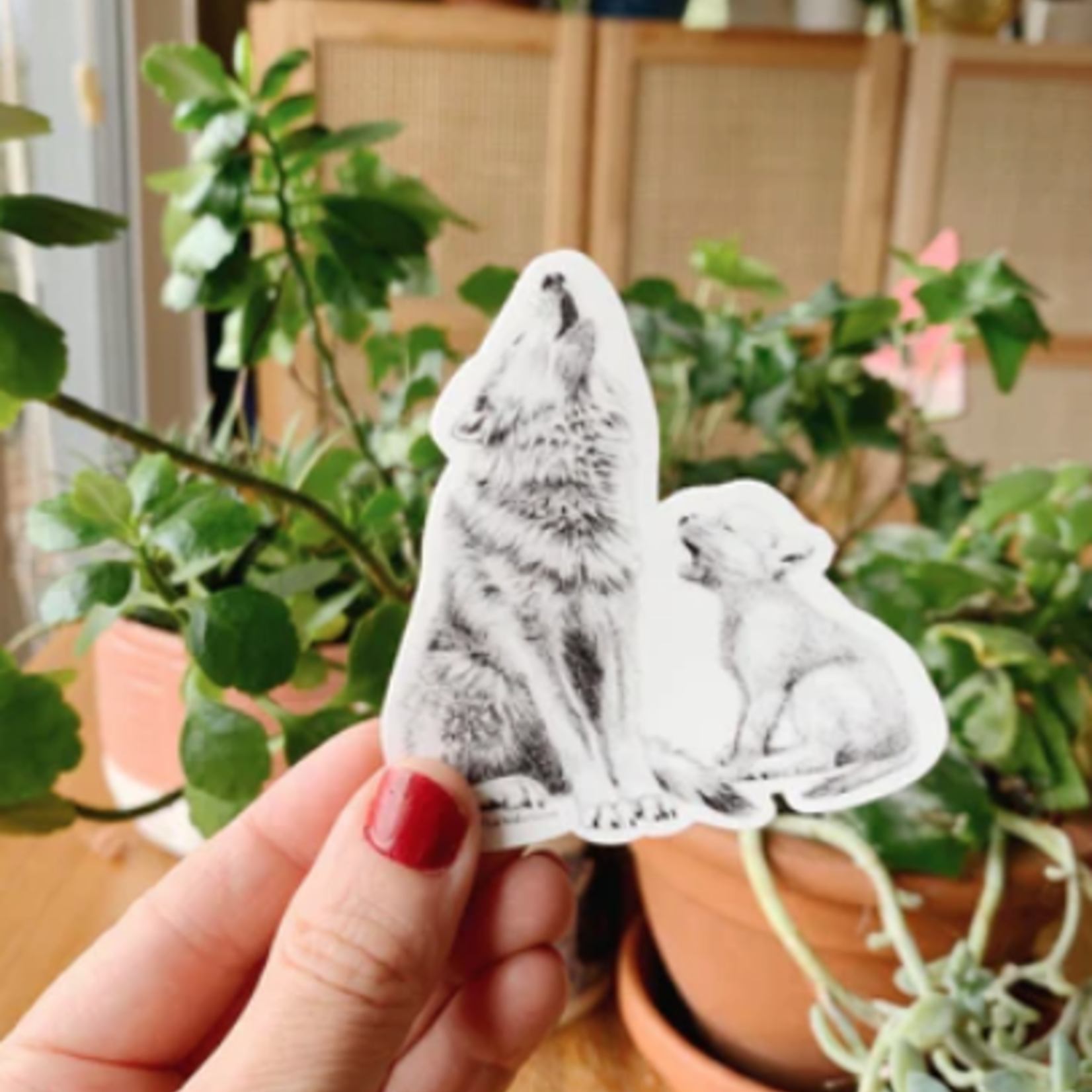 Sticker Le Nid - (modèles variés)