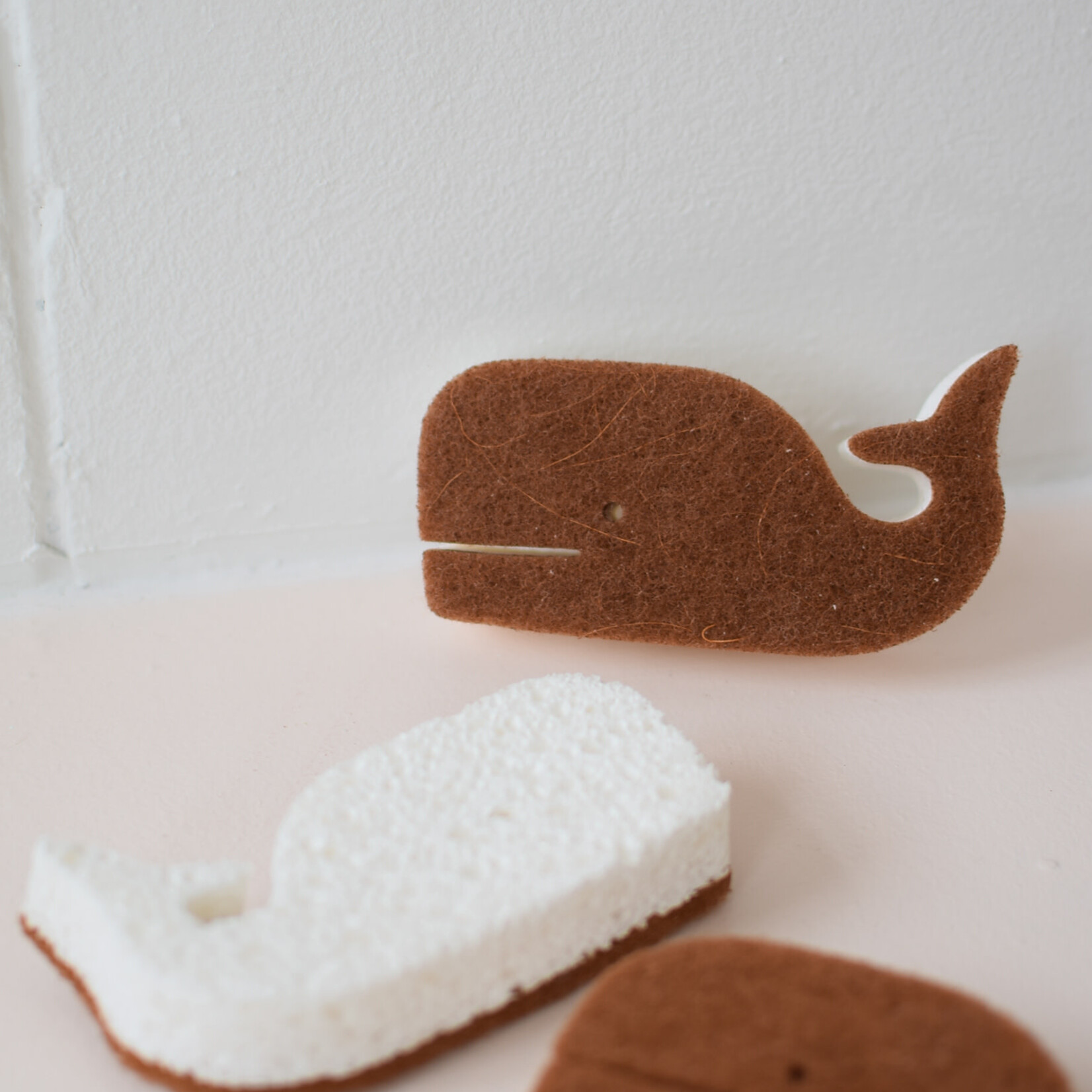 Eponge Baleine