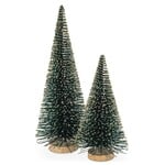 Sapin brosse