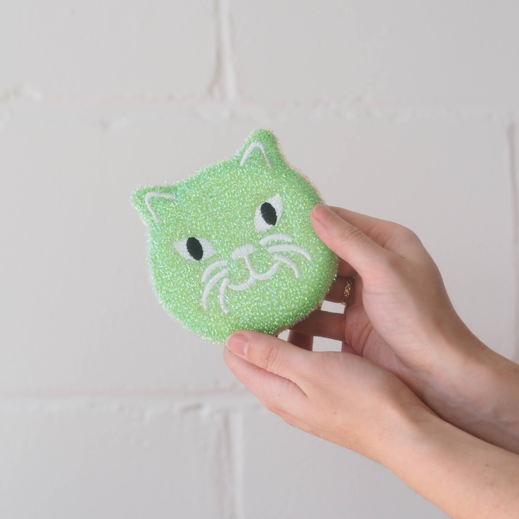 Cat sponge