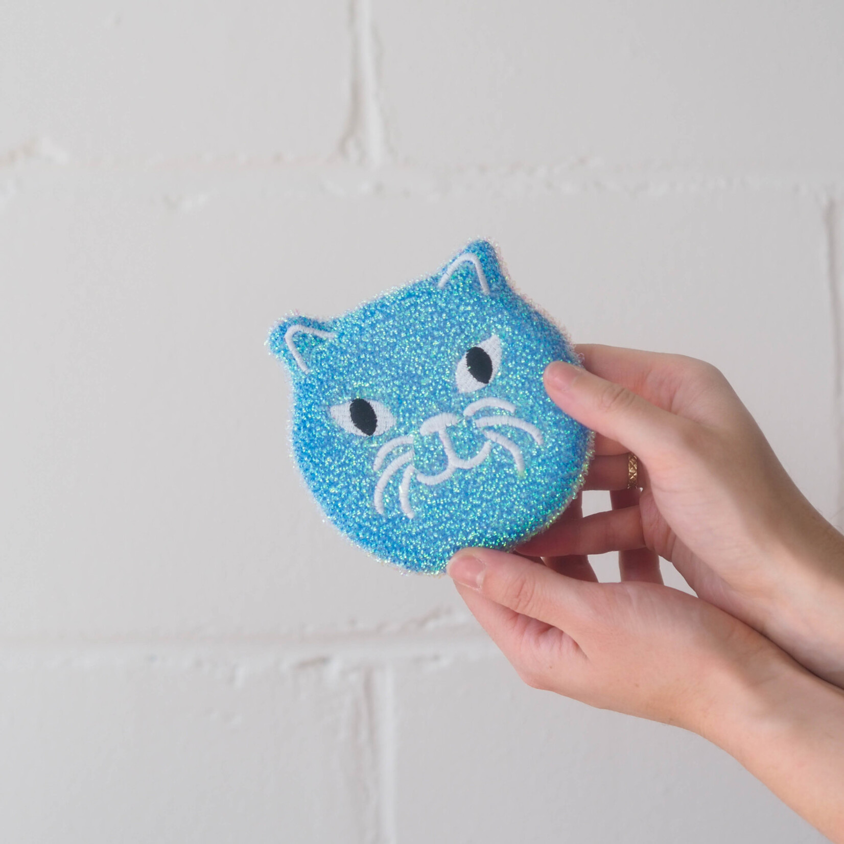 Cat sponge