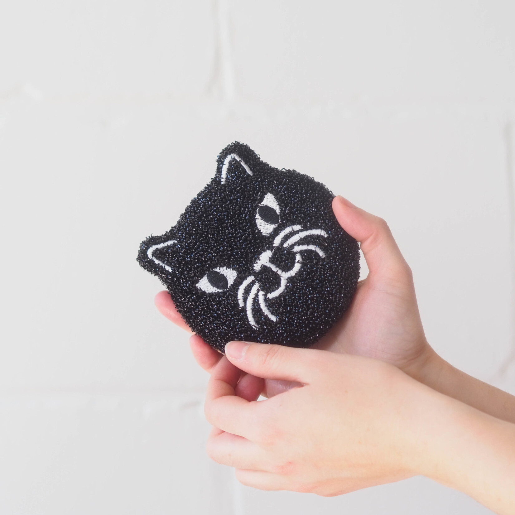 Cat sponge