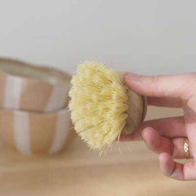 Refill - Dish brush head