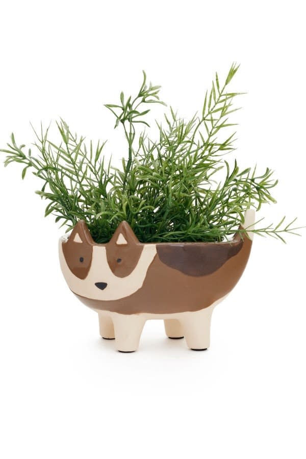 Dog plant pot