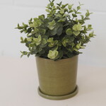 Plant pot and green dish