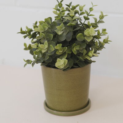 Pot plante et soucoupe Vert