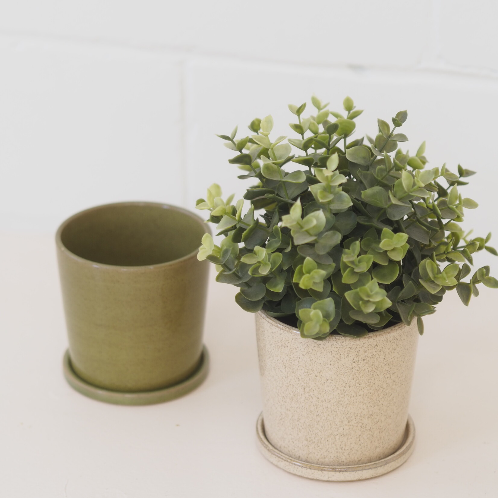 Plant pot and green dish