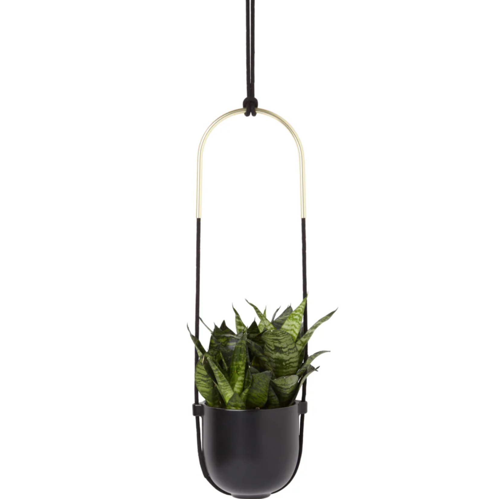 Bolo Planter Black