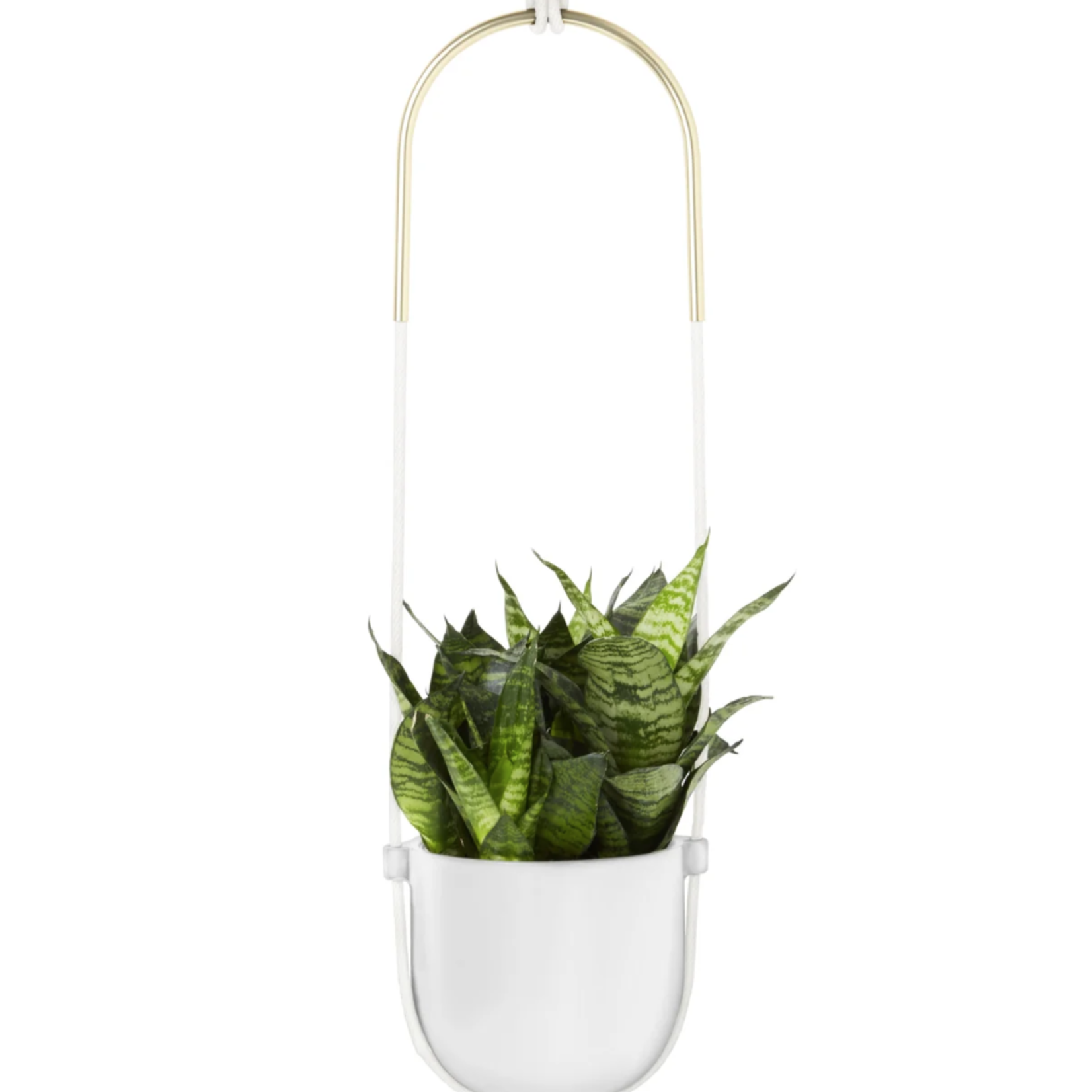 Bolo Planter White