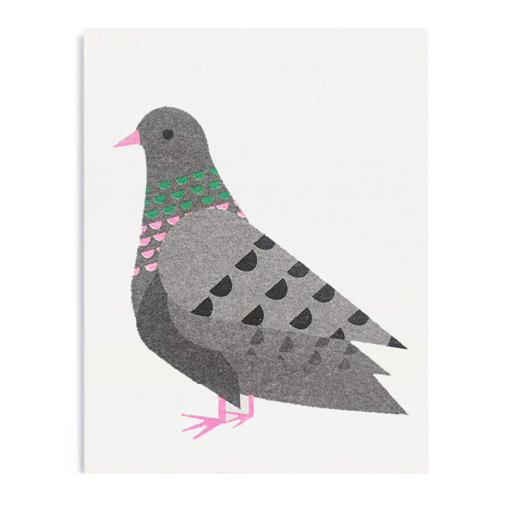Mini carte - Pigeon