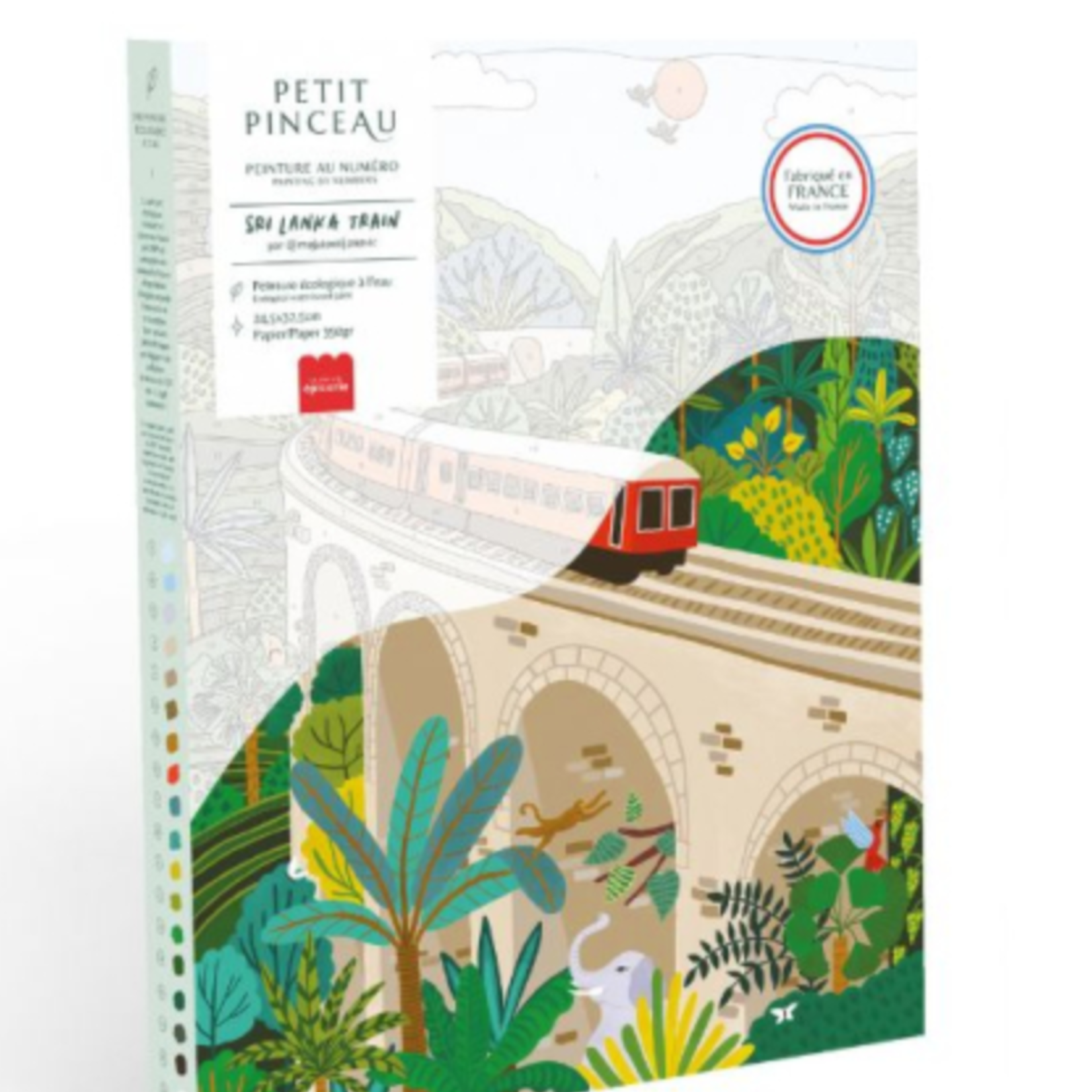 Coffret peinture au numéro - Sri Lanka Train