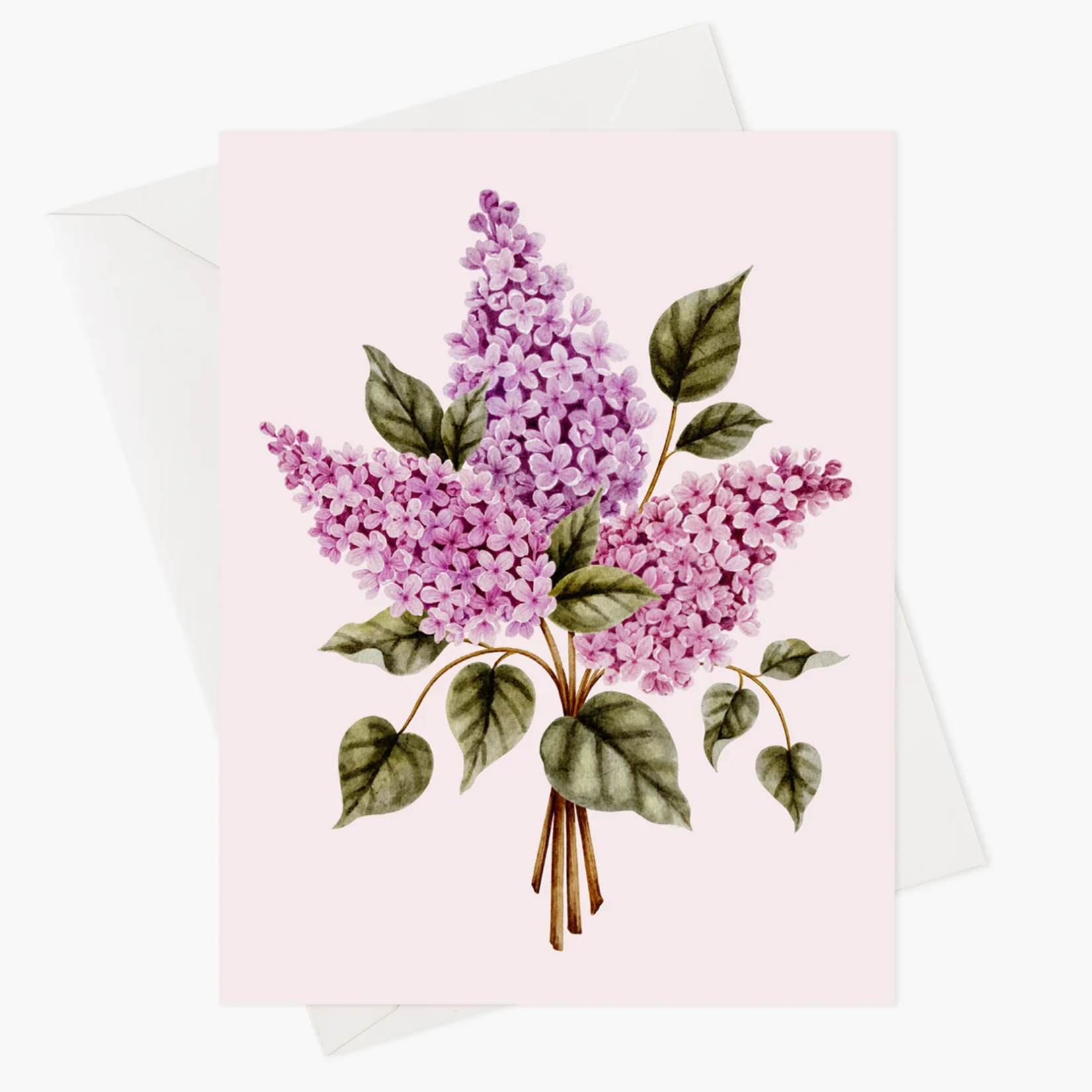 Carte de souhaits - Lilas