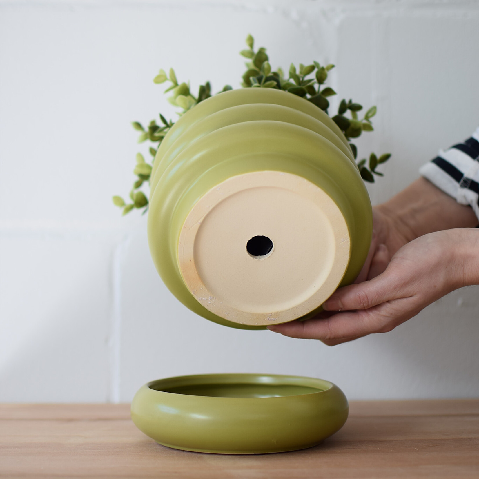 Pot Oulu Sauge (2 morceaux)