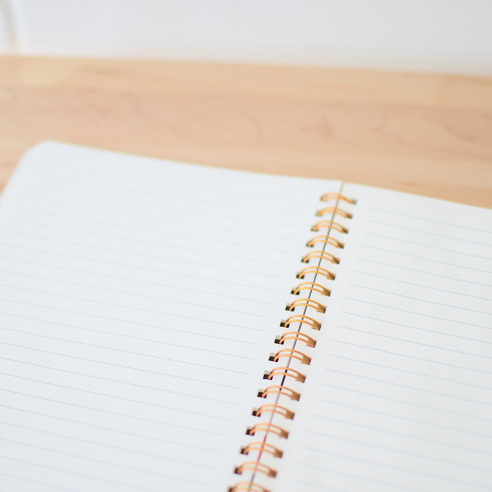 Notebook - Tulipes