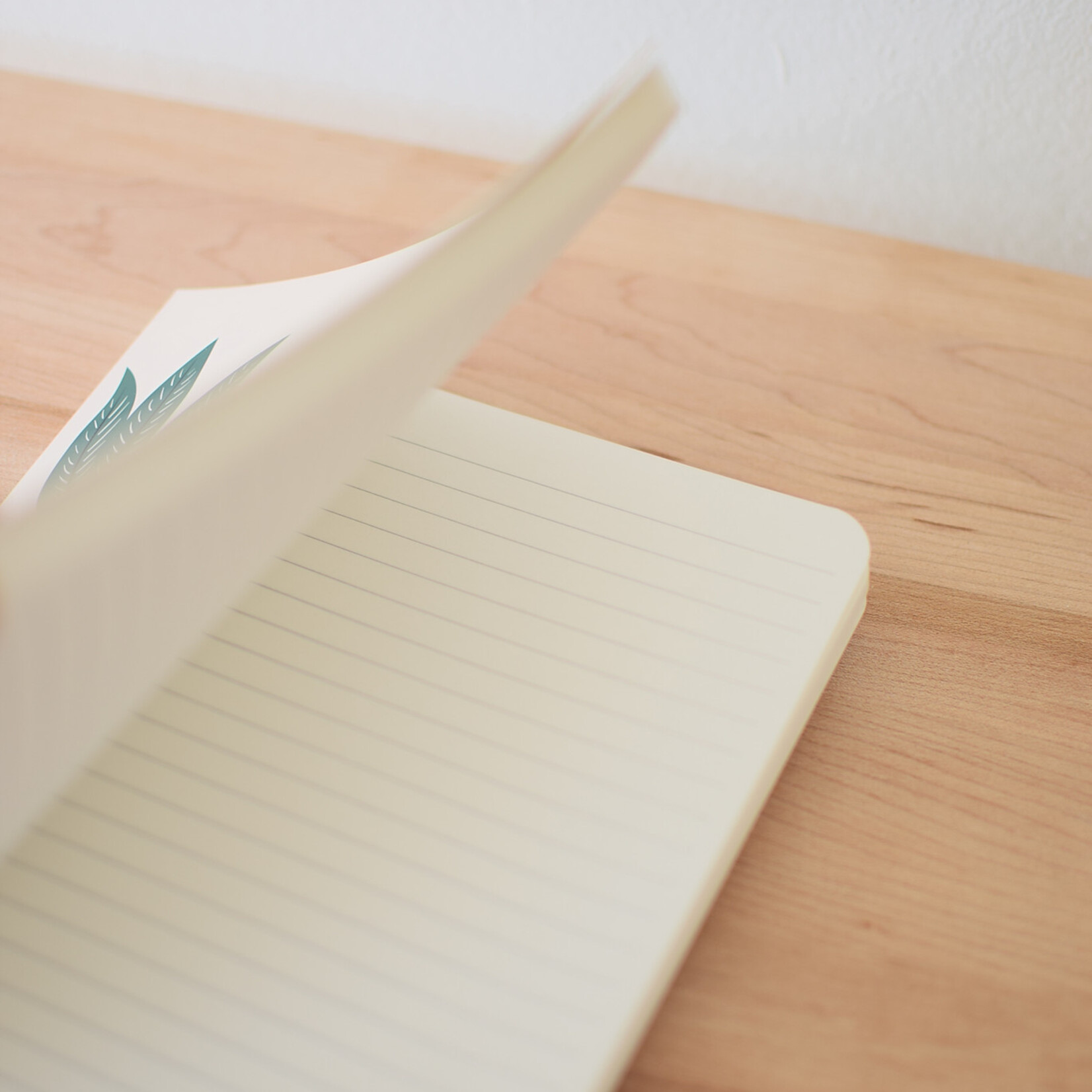 Ruled notebook - Orange cat