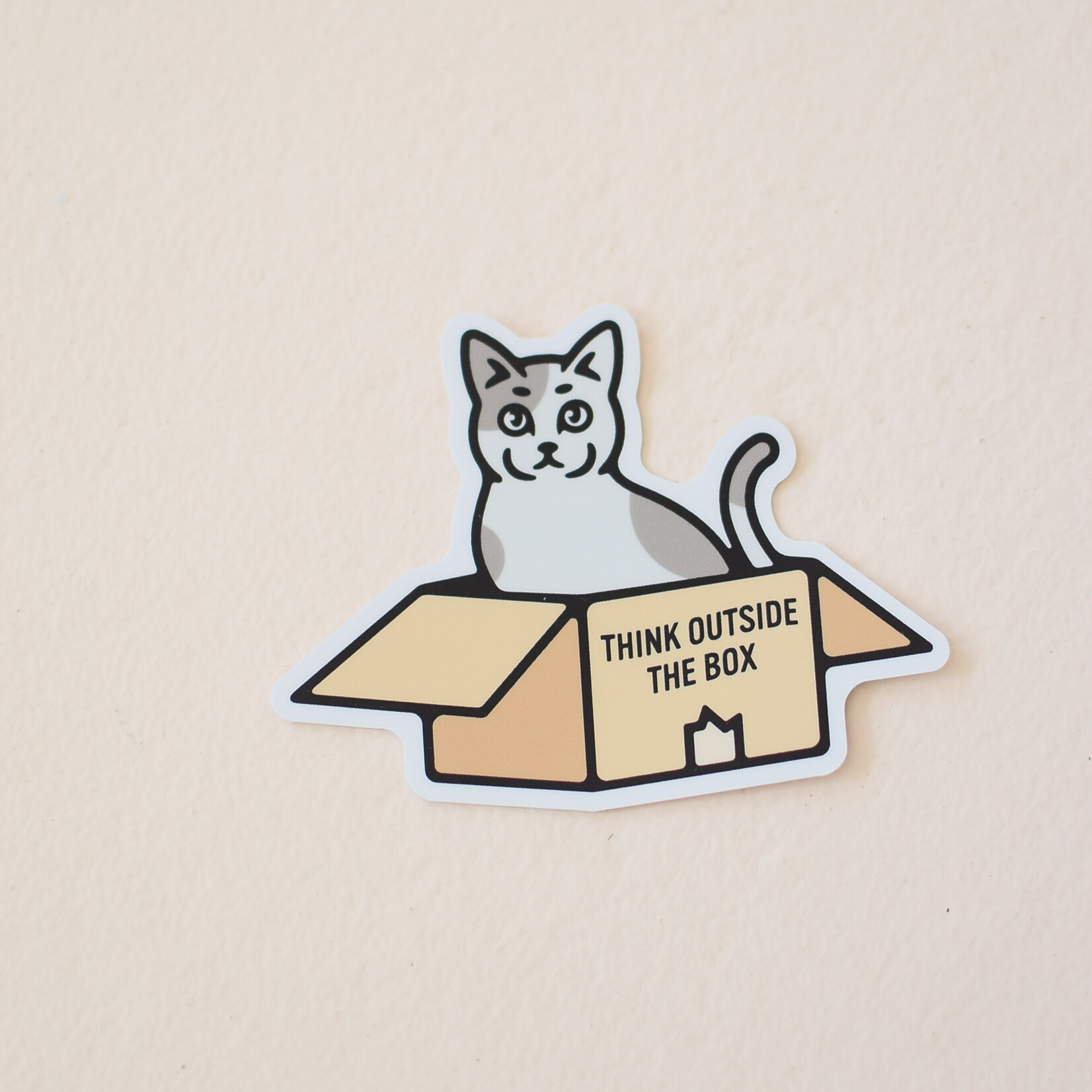 Sticker Think outside the box Cat