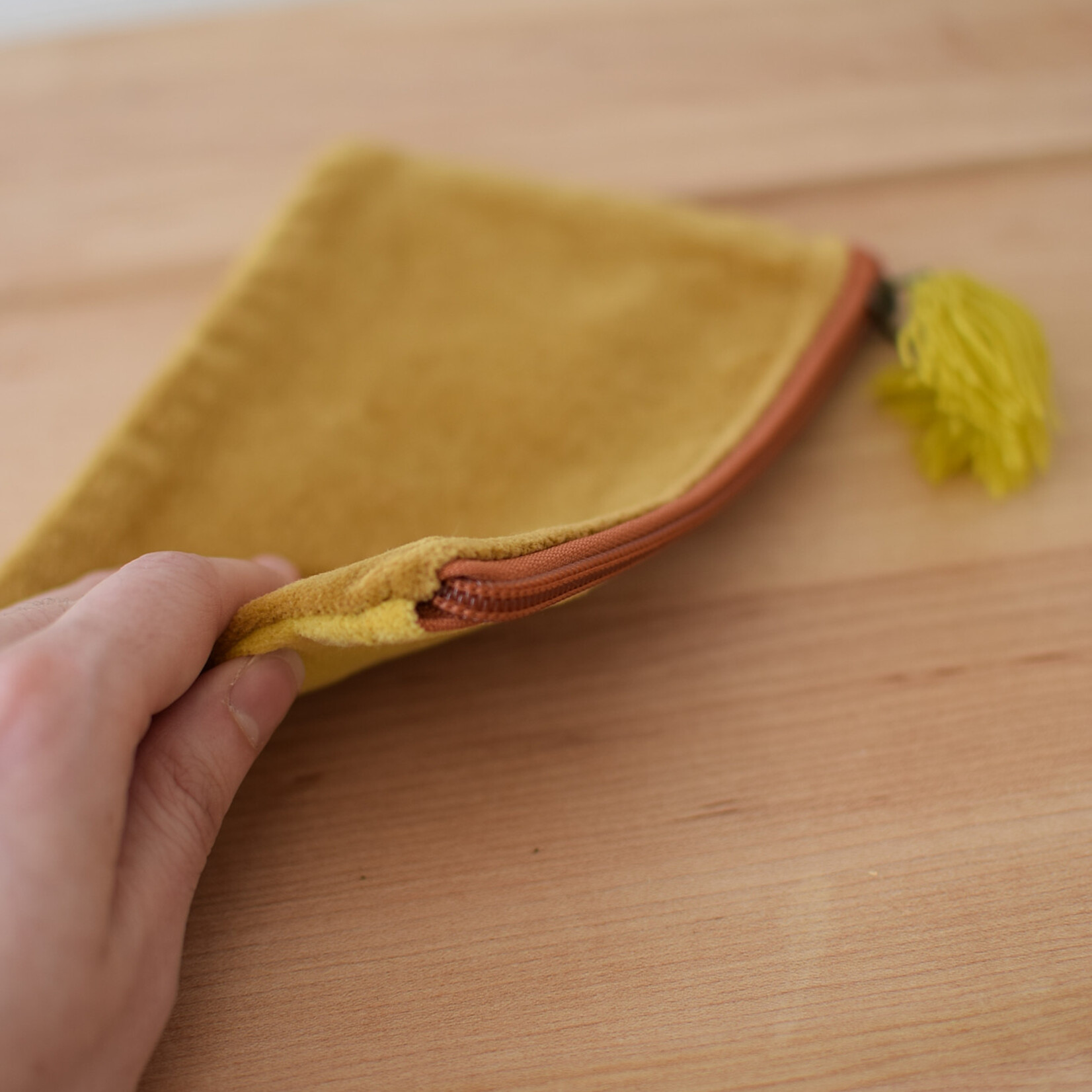 Velour Tassel Gold pouch