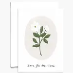 Carte -  Fleurs Blanches