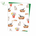 Carte Chats (ensemencée)