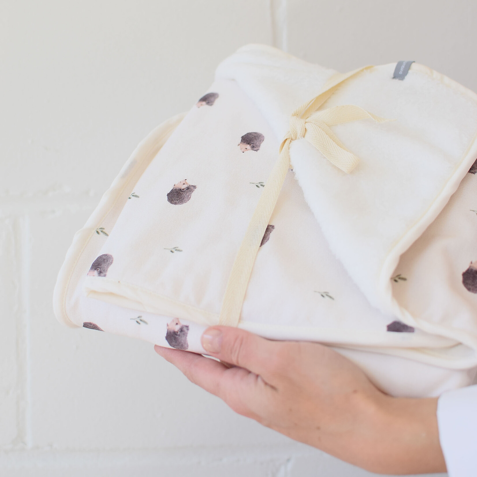 Fluffy blanket - Hedgehogs