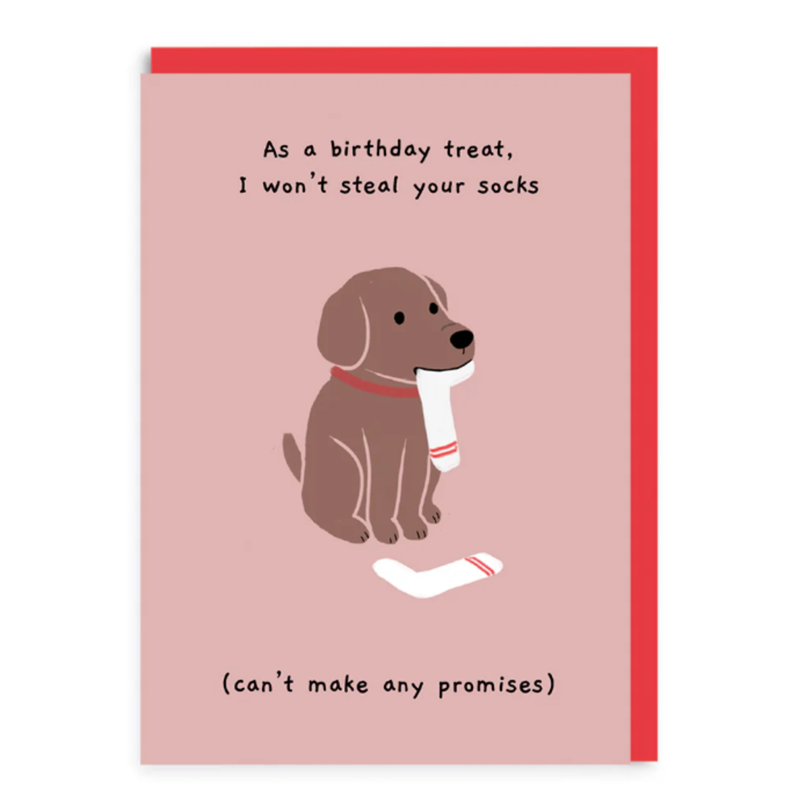 Greeting card - Won't steal your socks