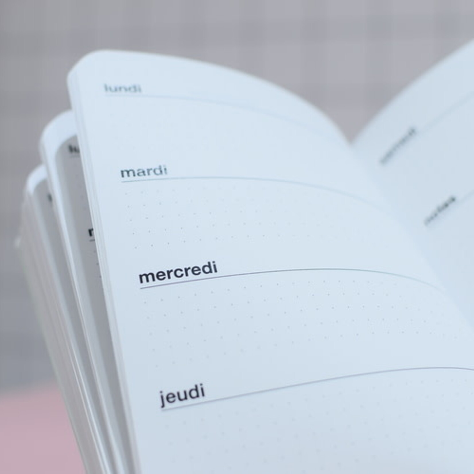 Agenda sans date - Pêche confettis Turquoise