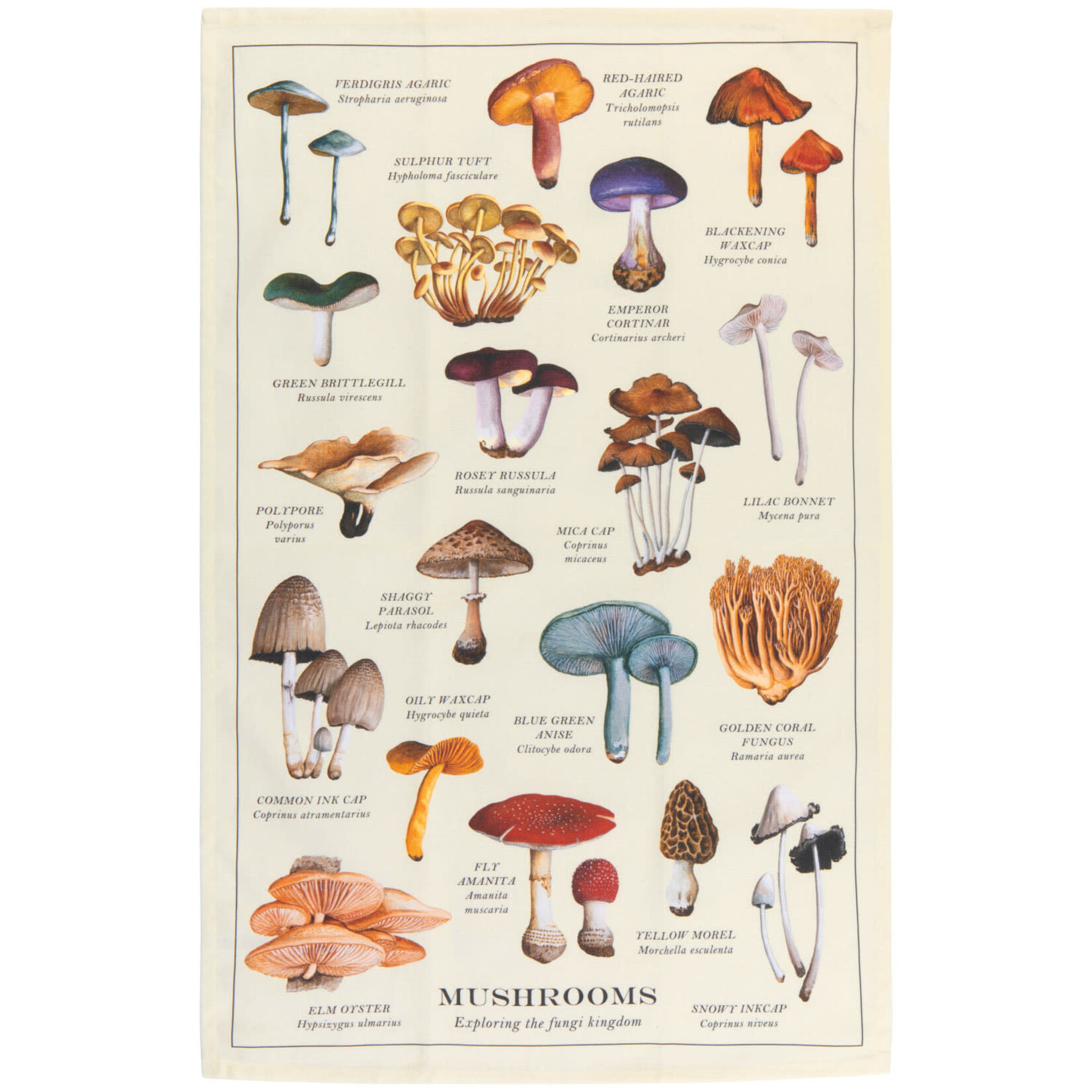 Dishtowel - Mushrooms Fine Print
