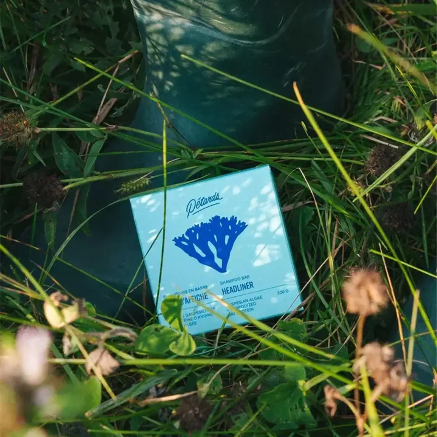 Solid shampoo with algae - Tête d'affiche