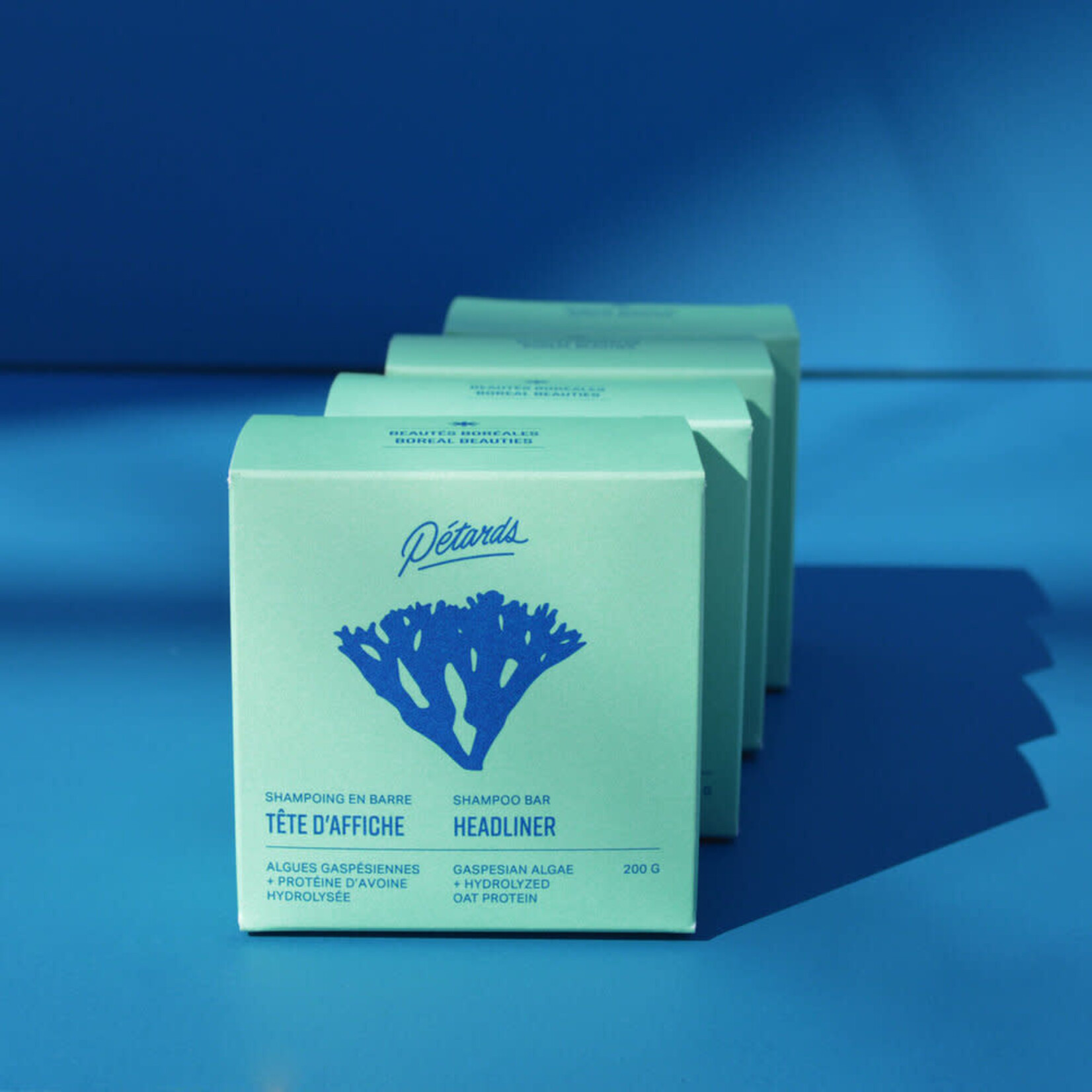 Shampoing solide aux algues Tête d'affiche