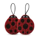 Ladybug Sponge