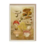 Carte - Champignons