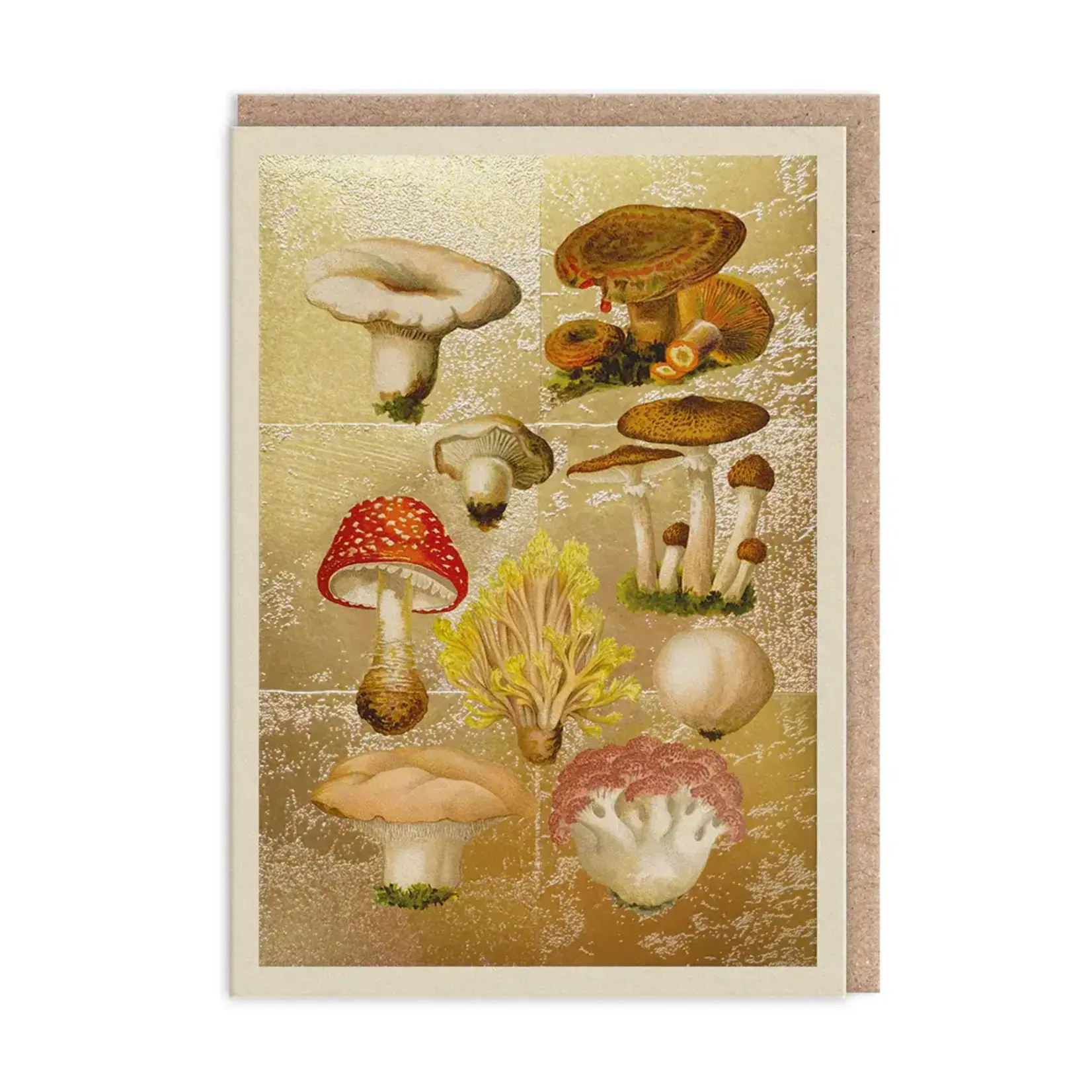 Carte de souhaits - Champignons