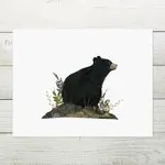 Affiche - Ours noir