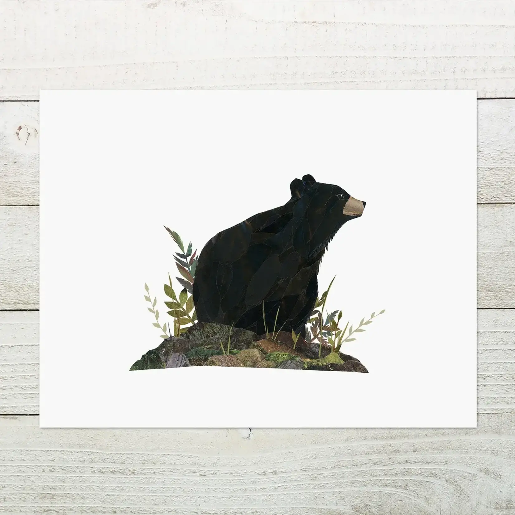 Print - Black bear
