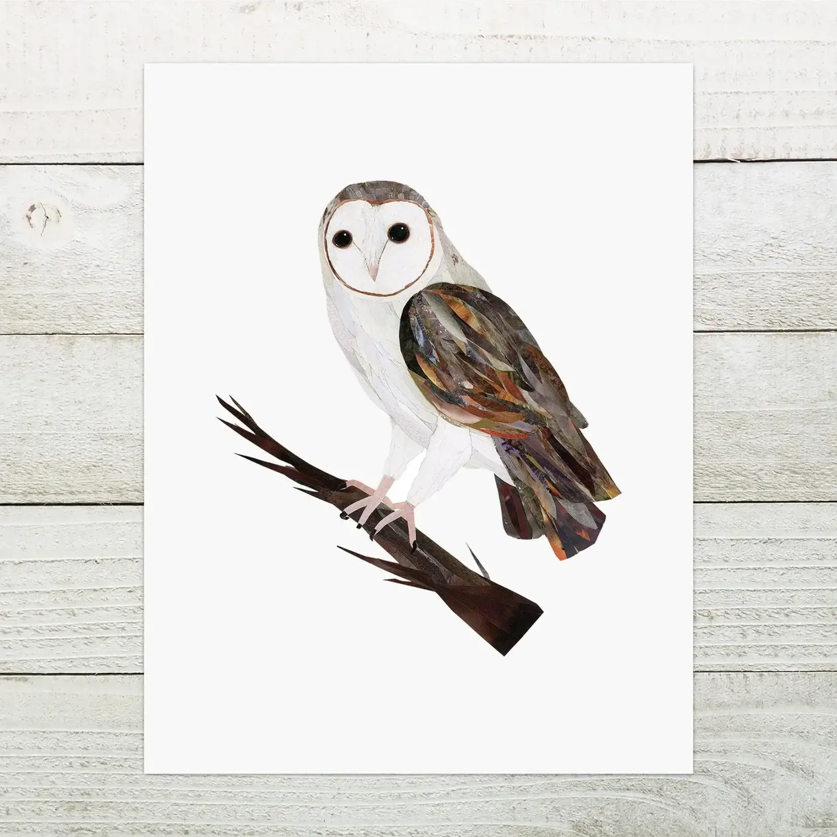 Print - Barn owl