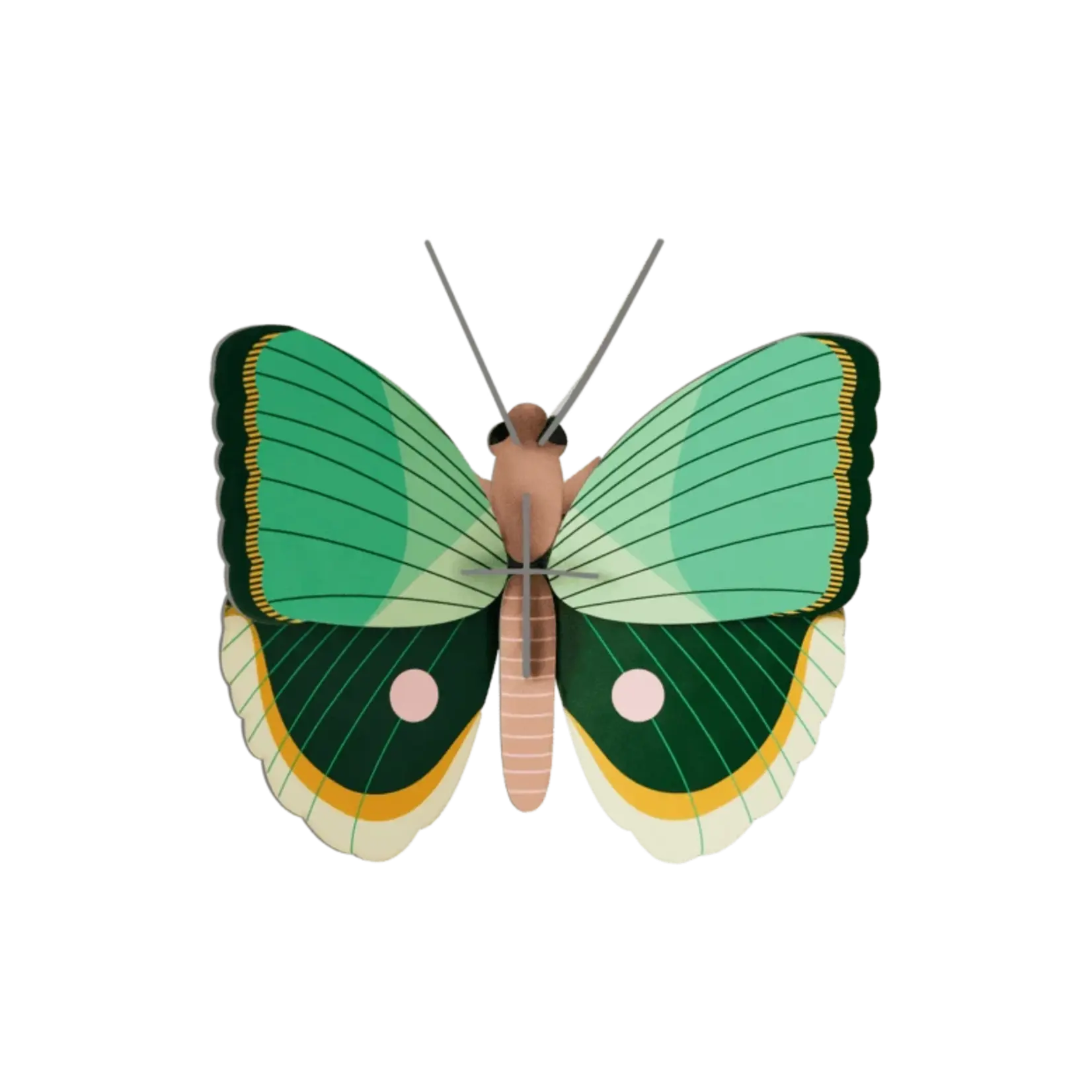 Kit 3D - Papillon Rayures fougère