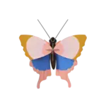 3D Kit - Butterfly with Gold Border