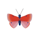 Kit 3D - Papillon Cuivré moucheté