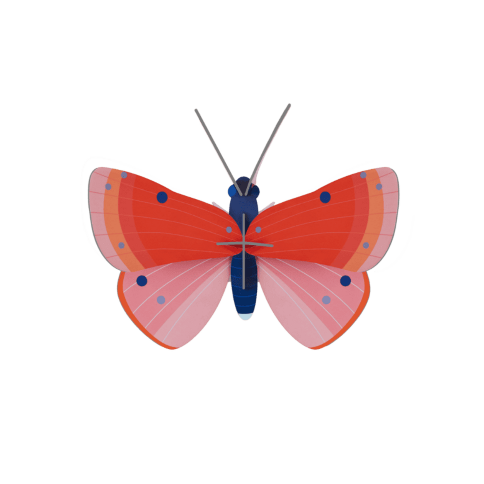 Kit 3D - Papillon Cuivré moucheté