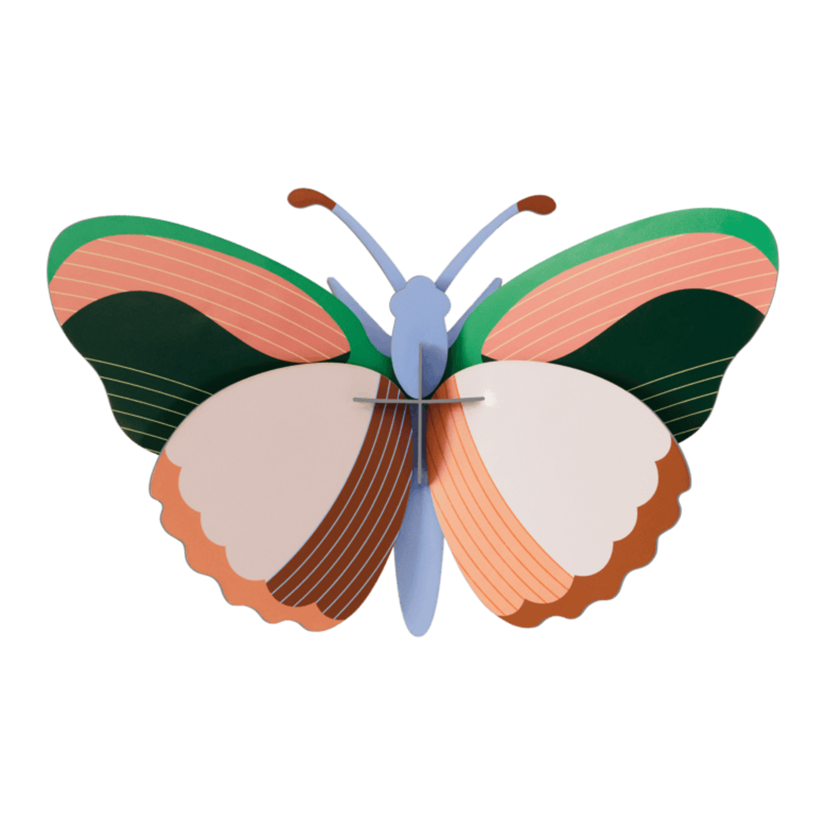 3D Kit - Large Sycamore Butterfly