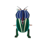 3D Kit - Little Mimela Beetle