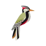 3D Wall Art Kit – Woodpecker