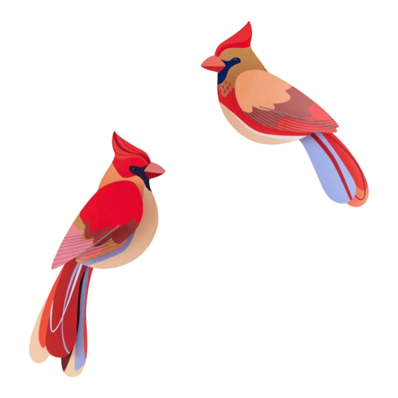 Kit 3D à assembler - Cardinaux
