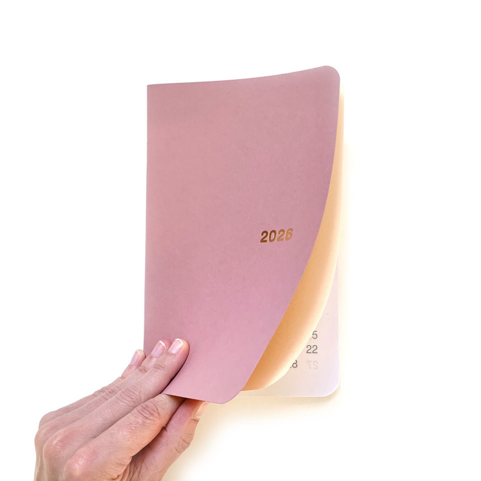 Agenda Archipel 2026