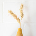 Wool flower - Wheat